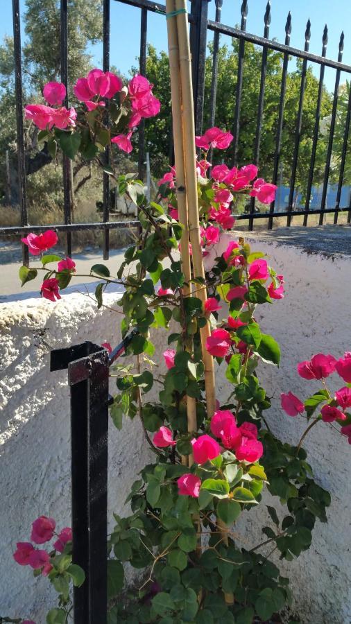 Barefoot Cottage Skiathos Town Exterior foto
